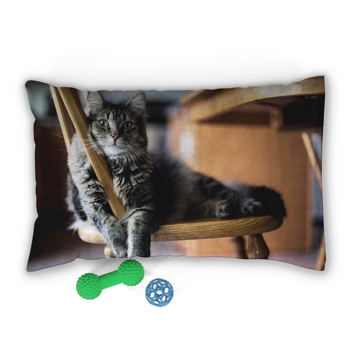 Custom Pet Beds for Dogs and Cats