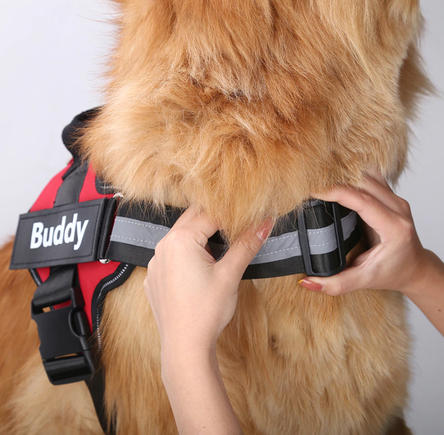 Personalized Name Dog Harness