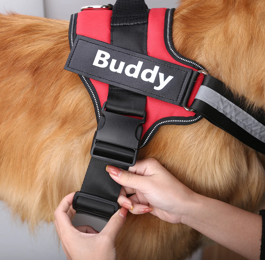 Personalized Name Dog Harness