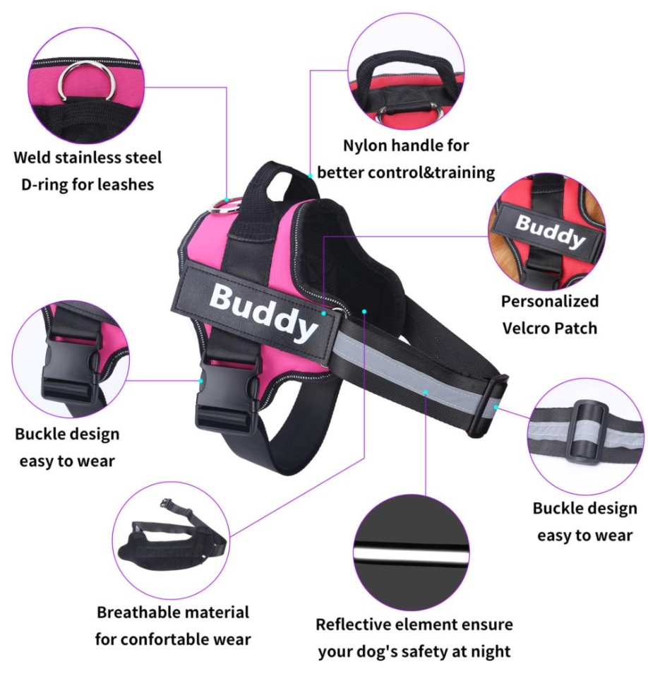 Personalized Name Dog Harness