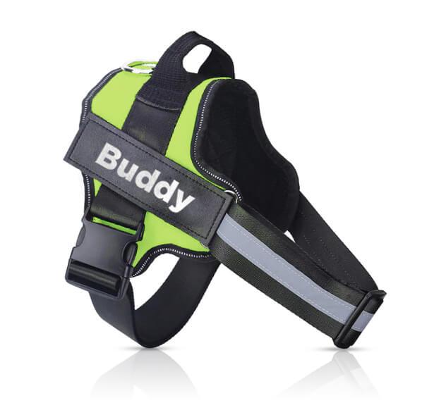 Personalized Name Dog Harness
