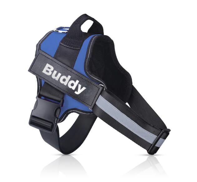 Personalized Name Dog Harness