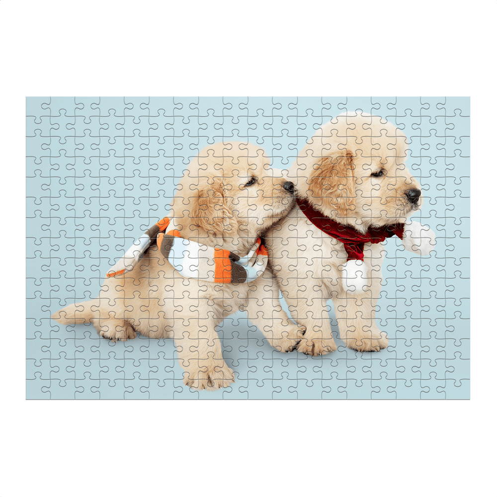 Personalized Rectangle Jigsaw Puzzle 300 pcs Custom Box