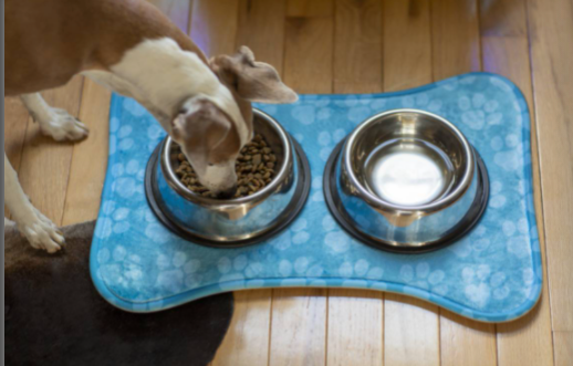 Personalized Pet Feeding Mat
