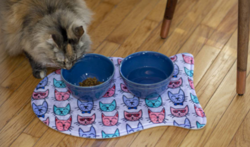 Personalized Pet Feeding Mat