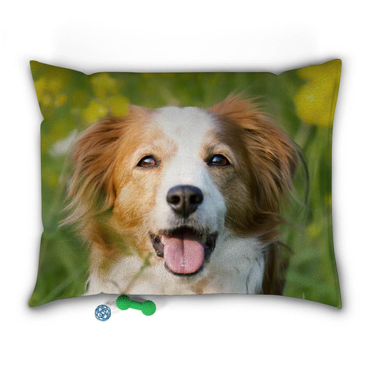 Custom Pet Beds for Dogs and Cats