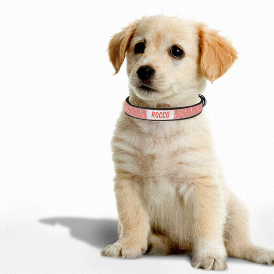 Personalized Dog Collar